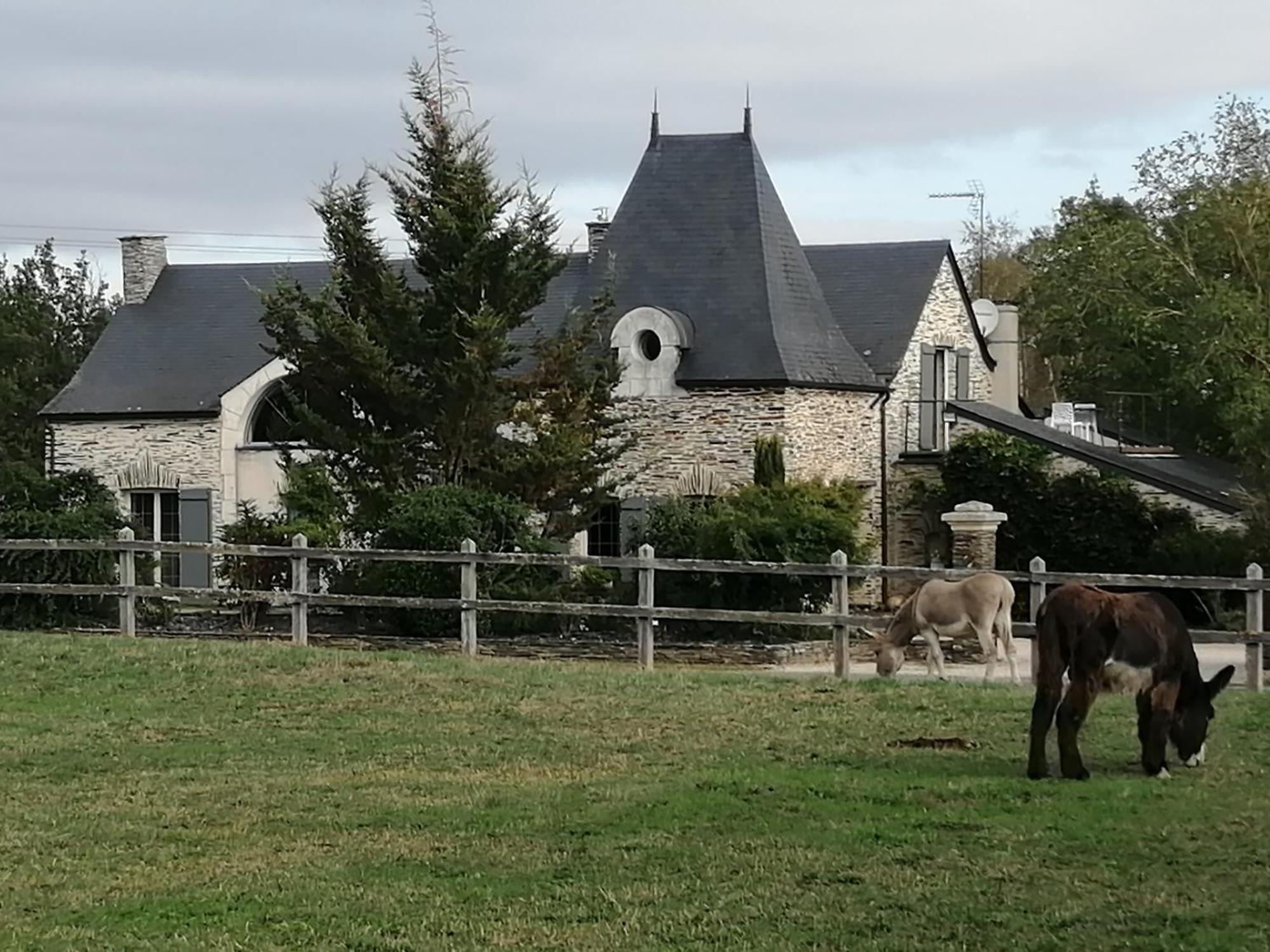 Gite Belle Fontaine Hotel Angrie Exterior foto
